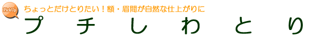 プチしわとり