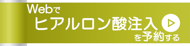 Webでヒアルロン酸注入を予約する